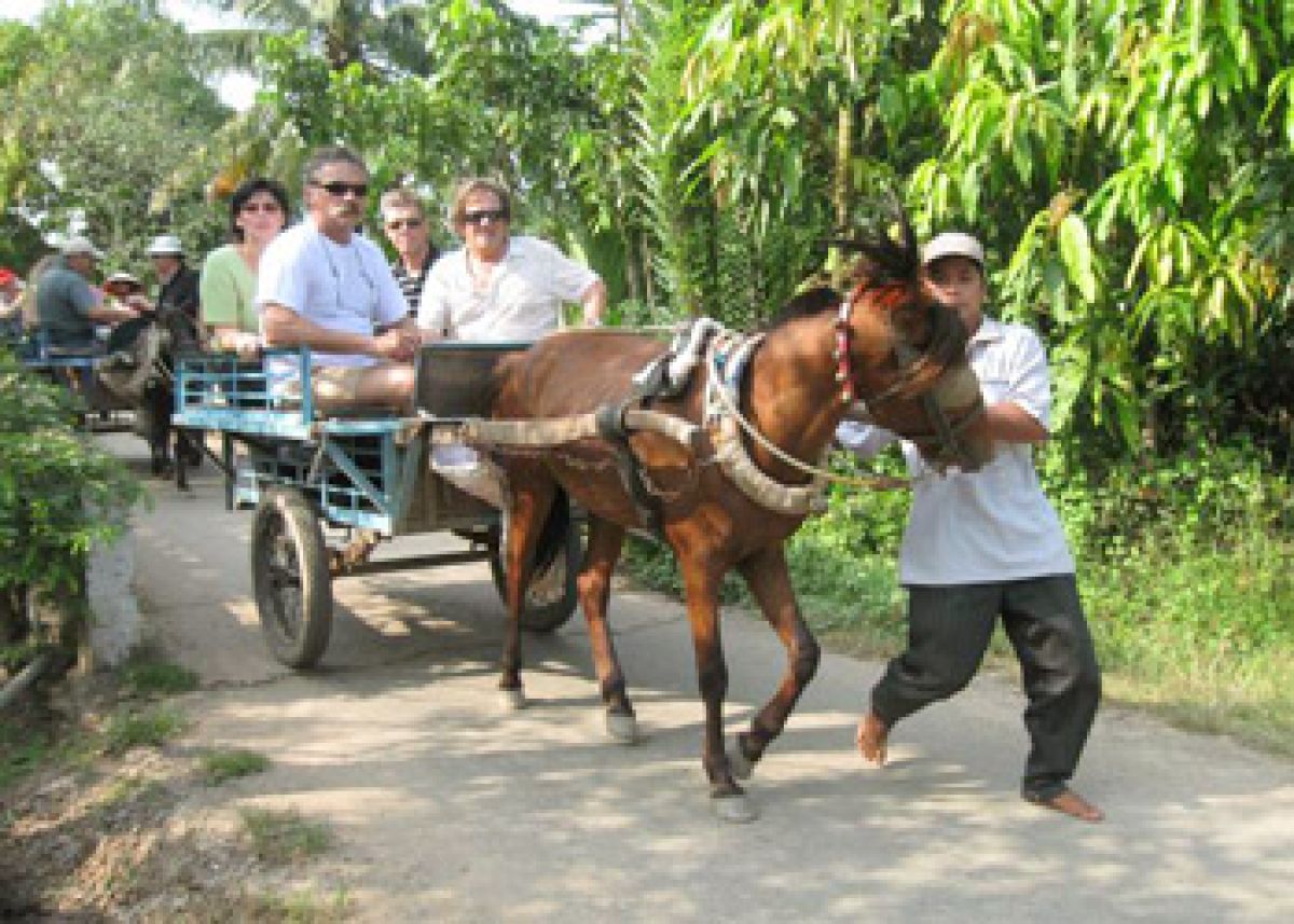 Mekong Delta: 1 day